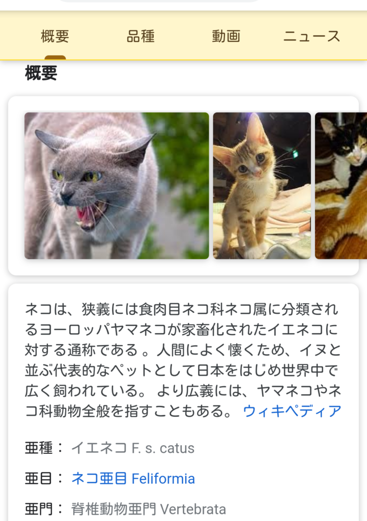 Google検索のar機能でネコ 動物 が出てこない時にチェックしたい対応デバイスと対応機種一覧 武器になる雑学